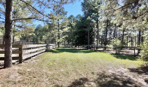 Photo #54 of 2338 Etters Lane, Cassatt, SC 28.0 acres
