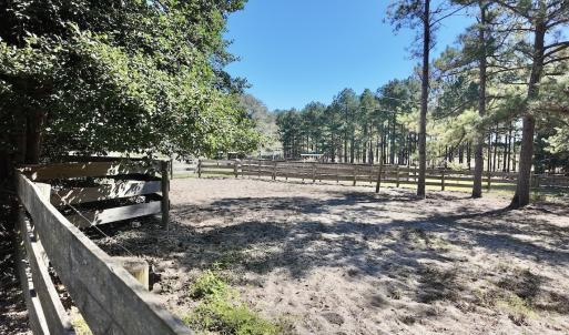 Photo #57 of 2338 Etters Lane, Cassatt, SC 28.0 acres