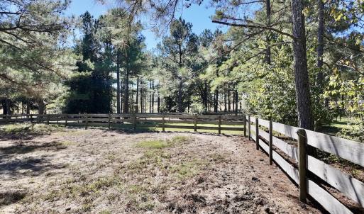 Photo #58 of 2338 Etters Lane, Cassatt, SC 28.0 acres