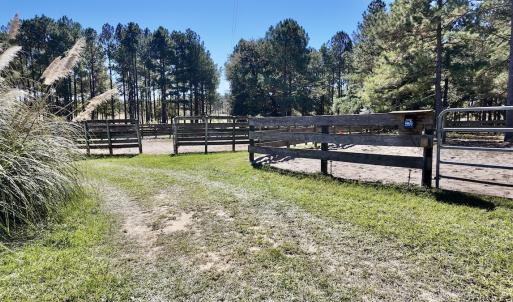 Photo #59 of 2338 Etters Lane, Cassatt, SC 28.0 acres