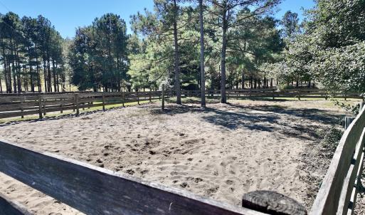 Photo #60 of 2338 Etters Lane, Cassatt, SC 28.0 acres