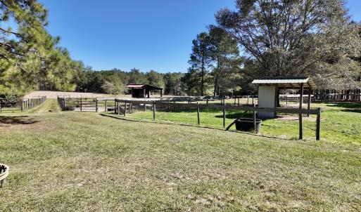 Photo #65 of 2338 Etters Lane, Cassatt, SC 28.0 acres