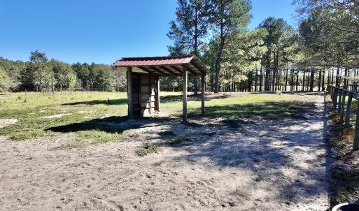 Photo #66 of 2338 Etters Lane, Cassatt, SC 28.0 acres