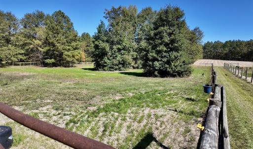 Photo #67 of 2338 Etters Lane, Cassatt, SC 28.0 acres