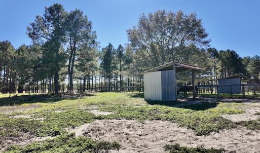 Photo #68 of 2338 Etters Lane, Cassatt, SC 28.0 acres