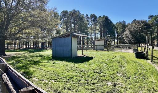 Photo #69 of 2338 Etters Lane, Cassatt, SC 28.0 acres