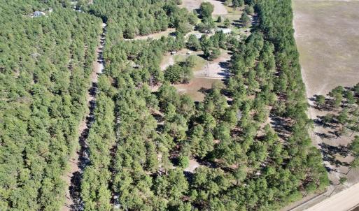 Photo #70 of 2338 Etters Lane, Cassatt, SC 28.0 acres