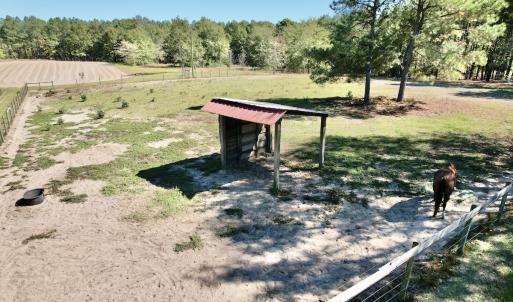 Photo #72 of 2338 Etters Lane, Cassatt, SC 28.0 acres