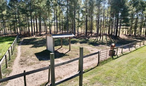 Photo #73 of 2338 Etters Lane, Cassatt, SC 28.0 acres