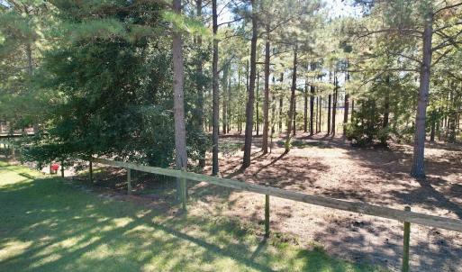 Photo #76 of 2338 Etters Lane, Cassatt, SC 28.0 acres