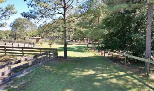 Photo #77 of 2338 Etters Lane, Cassatt, SC 28.0 acres