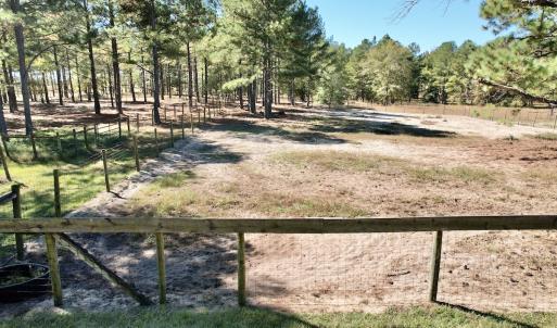 Photo #78 of 2338 Etters Lane, Cassatt, SC 28.0 acres