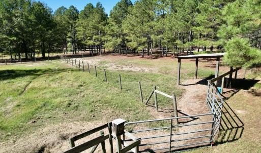 Photo #80 of 2338 Etters Lane, Cassatt, SC 28.0 acres