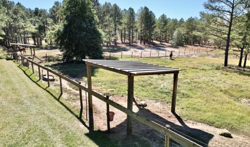 Photo #81 of 2338 Etters Lane, Cassatt, SC 28.0 acres