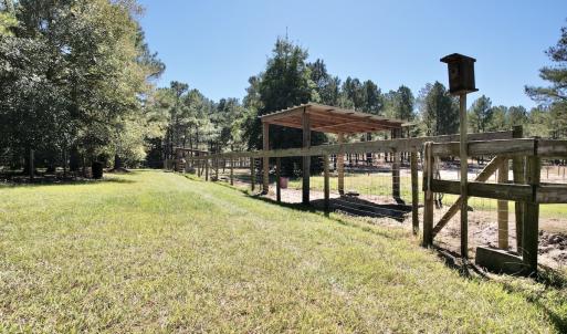 Photo #82 of 2338 Etters Lane, Cassatt, SC 28.0 acres