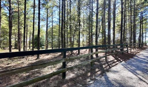 Photo #93 of 2338 Etters Lane, Cassatt, SC 28.0 acres