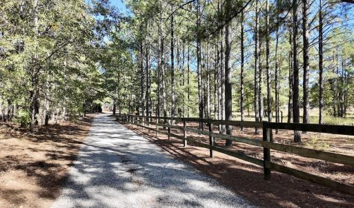 Photo #94 of 2338 Etters Lane, Cassatt, SC 28.0 acres