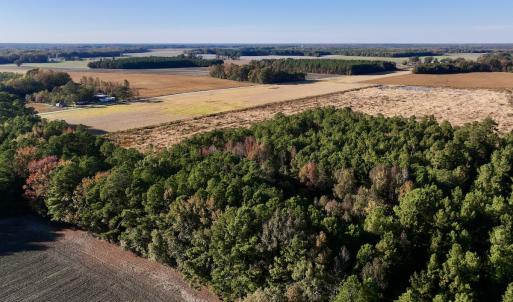 Photo #10 of Off Robersonville Products Rd, Williamston, NC 8.5 acres