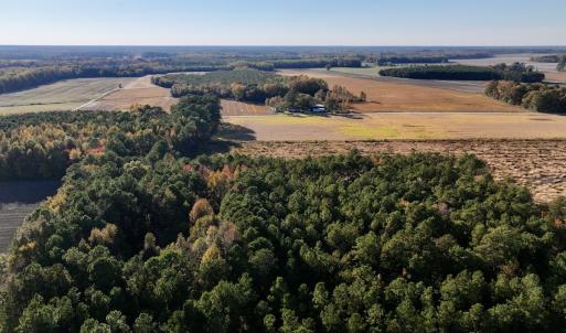 Photo #11 of Off Robersonville Products Rd, Williamston, NC 8.5 acres