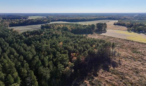 Photo #12 of Off Robersonville Products Rd, Williamston, NC 8.5 acres