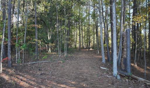 Photo #13 of Off Robersonville Products Rd, Williamston, NC 8.5 acres