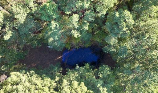 Photo #14 of Off Robersonville Products Rd, Williamston, NC 8.5 acres