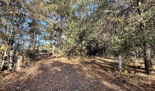 Photo #15 of Off Robersonville Products Rd, Williamston, NC 8.5 acres