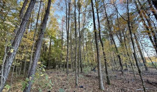 Photo #16 of Off Robersonville Products Rd, Williamston, NC 8.5 acres