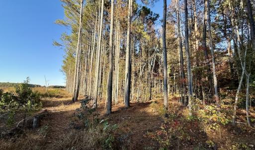 Photo #17 of Off Robersonville Products Rd, Williamston, NC 8.5 acres