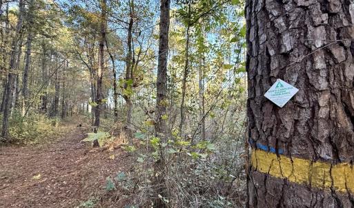 Photo #18 of Off Robersonville Products Rd, Williamston, NC 8.5 acres