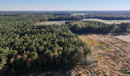 Photo #19 of Off Robersonville Products Rd, Williamston, NC 8.5 acres