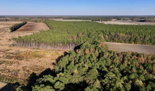 Photo #1 of Off Robersonville Products Rd, Williamston, NC 8.5 acres