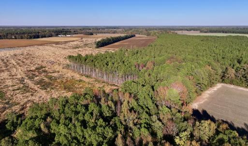 Photo #2 of Off Robersonville Products Rd, Williamston, NC 8.5 acres