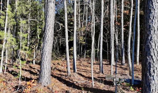 Photo #22 of Off Robersonville Products Rd, Williamston, NC 8.5 acres