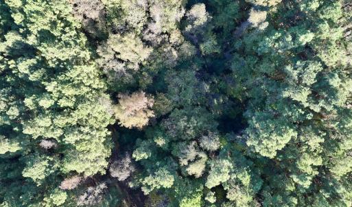 Photo #24 of Off Robersonville Products Rd, Williamston, NC 8.5 acres