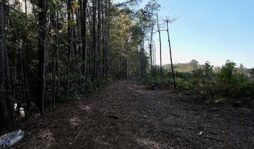Photo #26 of Off Robersonville Products Rd, Williamston, NC 8.5 acres