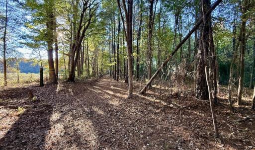 Photo #27 of Off Robersonville Products Rd, Williamston, NC 8.5 acres