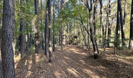 Photo #28 of Off Robersonville Products Rd, Williamston, NC 8.5 acres