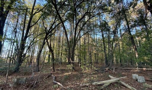 Photo #29 of Off Robersonville Products Rd, Williamston, NC 8.5 acres