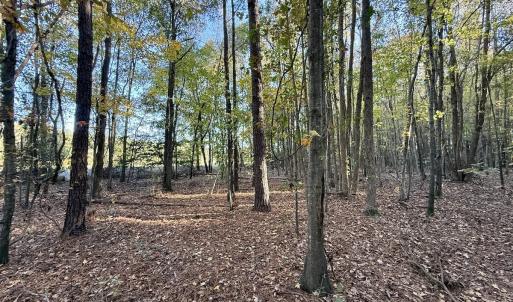 Photo #4 of Off Robersonville Products Rd, Williamston, NC 8.5 acres