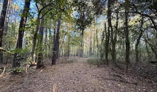 Photo #5 of Off Robersonville Products Rd, Williamston, NC 8.5 acres