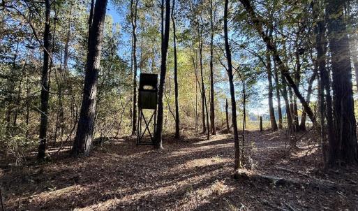 Photo #6 of Off Robersonville Products Rd, Williamston, NC 8.5 acres
