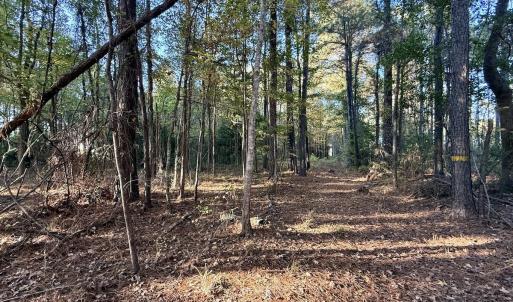 Photo #7 of Off Robersonville Products Rd, Williamston, NC 8.5 acres