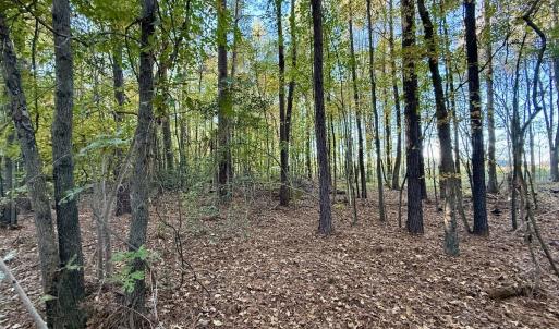 Photo #8 of Off Robersonville Products Rd, Williamston, NC 8.5 acres