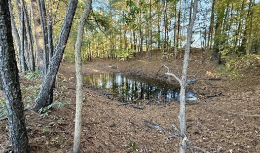 Photo #9 of Off Robersonville Products Rd, Williamston, NC 8.5 acres
