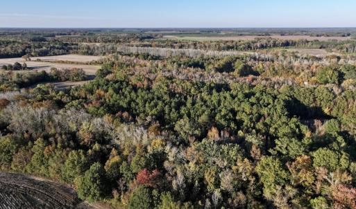 Photo #11 of 247 Quitsna Road, Windsor, NC 16.6 acres
