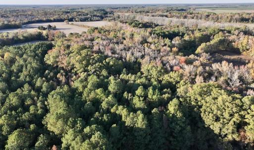 Photo #12 of 247 Quitsna Road, Windsor, NC 16.6 acres