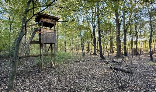 Photo #17 of 247 Quitsna Road, Windsor, NC 16.6 acres