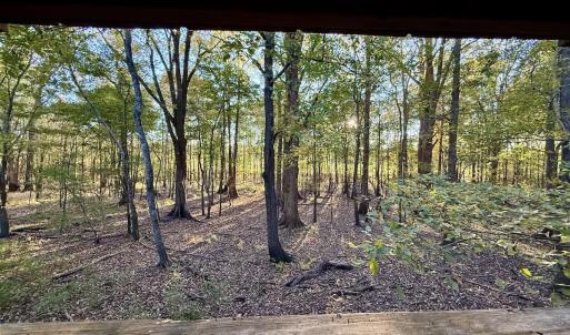 Photo #19 of 247 Quitsna Road, Windsor, NC 16.6 acres