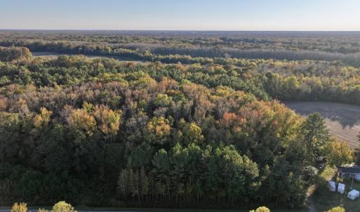 Photo #1 of 247 Quitsna Road, Windsor, NC 16.6 acres